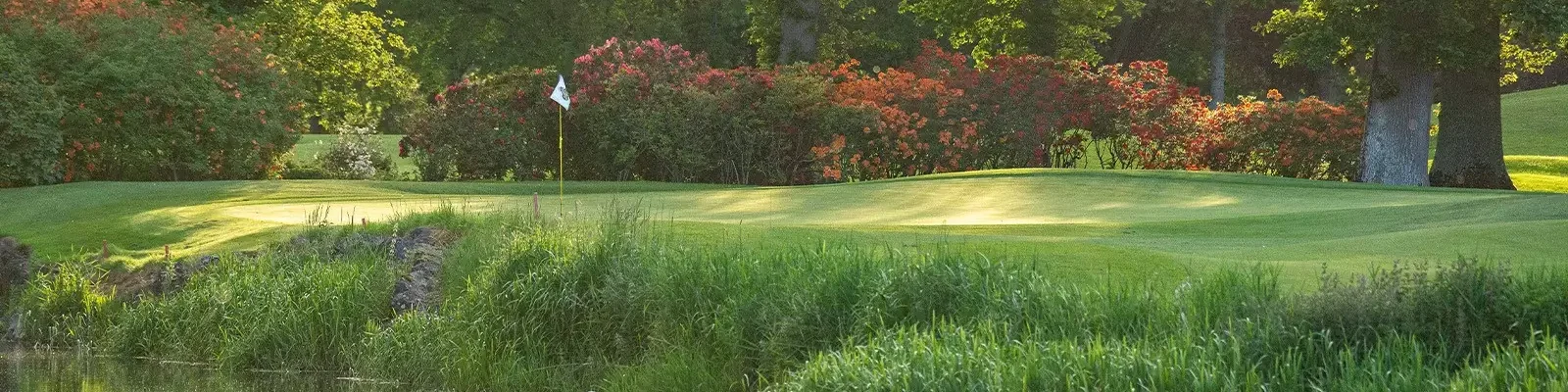 The K Club (Palmer North)